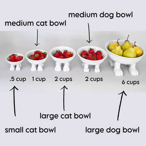 Ceramic Cat Bowl on Paws © | Medium