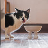 Ceramic Cat Bowl on Paws | Medium | Lifted Footed Pet Dylan Kendall