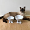 Ceramic Cat Bowl on Paws | Medium | Lifted Footed Pet Dylan Kendall 