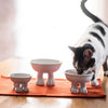 Ceramic Cat Bowl on Paws | Small | Lifted Footed Pet Dylan Kendall 