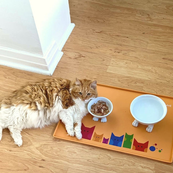 Designer Silicone Cat Mats