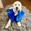 Fun, Microfiber and Fast-Drying Dog Towel Pet Placemats Dylan Kendall