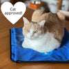 Fun, Microfiber and Fast-Drying Dog Towel Pet Towel Dylan Kendall