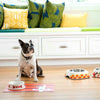 Pet Bowl | Dog Bone Crazy: Eco Pet Round Bowl Eco Pet Dylan Kendall