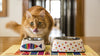 Pet Bowl | Fintastic Fish: Eco Pet Bowls with Stainless Steel Liner Eco Pet Dylan Kendall