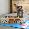 Pet Bowl | Pack of Pups - Eco Double Feeder Pet Bowl with Stainless Steel Liner Eco Pet Dylan Kendall