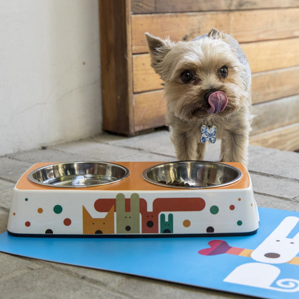 Riding the Wave - Eco Pet Bowls with Stainless Steel Liner