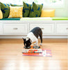 Pet Bowl | Pack of Pups - Eco Double Feeder Pet Bowl with Stainless Steel Liner Eco Pet Dylan Kendall