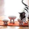 Ceramic Cat Bowl on Paws | Large | Lifted Footed Pet Dylan Kendall 