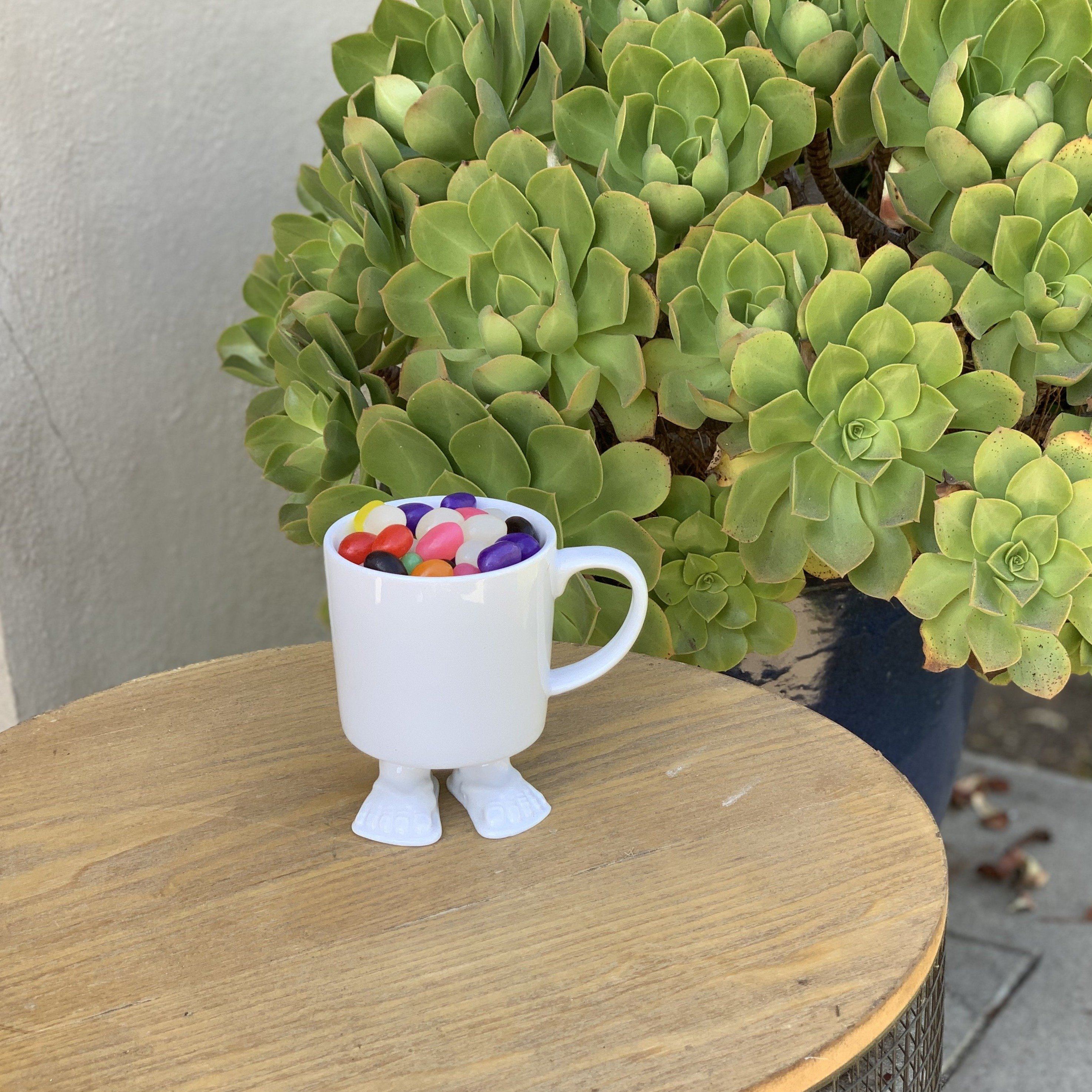 succulent travel mug Turquoise Ceramic Footed Mug
