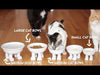 Ceramic Cat or Kitten Bowl on Paws © | Small | Lifted
