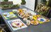 Kids Dishes | Wise Turtle - Eco Kids Dishware Eco Kids Dylan Kendall 
